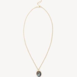 Sole Society Jewelry - NWT Sole Society set in stone labradorite necklace Sole Society Jewelry - NWT Sole Society set in stone labradorite necklace